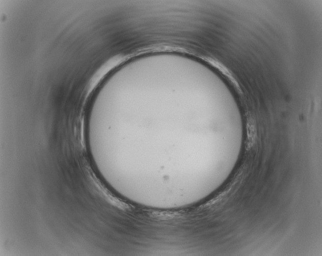 X0000066080886200603171027