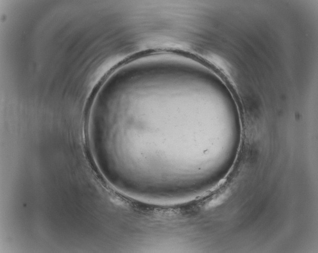 X0000066080887200603171027