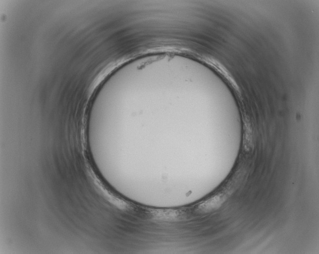 X0000066080890200603171027