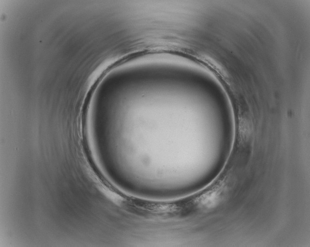 X0000066080891200603171027