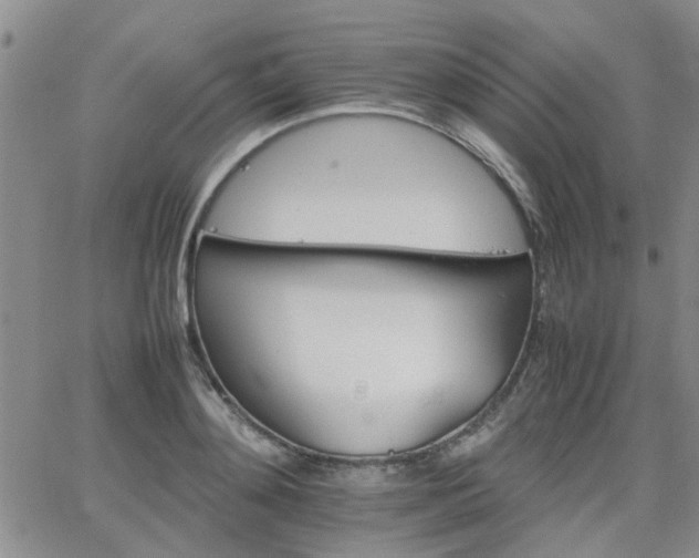 X0000066080892200603171027