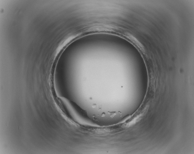 X0000066080893200603171027