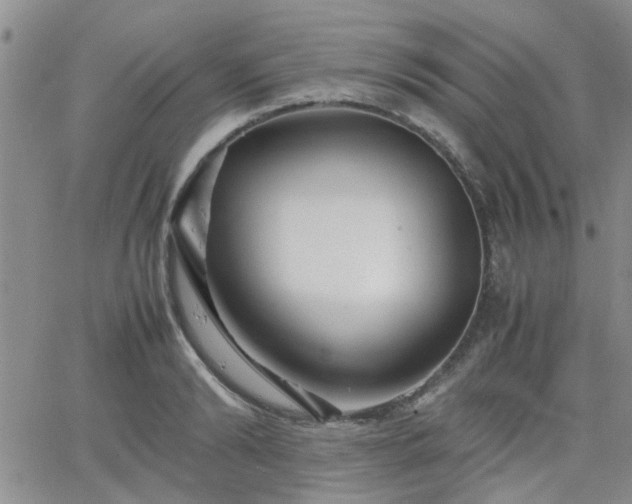 X0000066080894200603171027