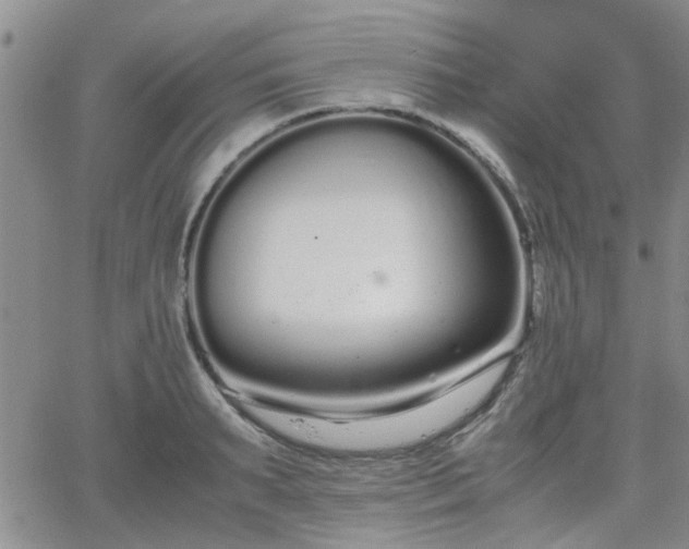 X0000066080895200603171027