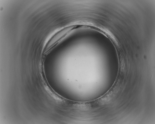 X0000066080896200603171027