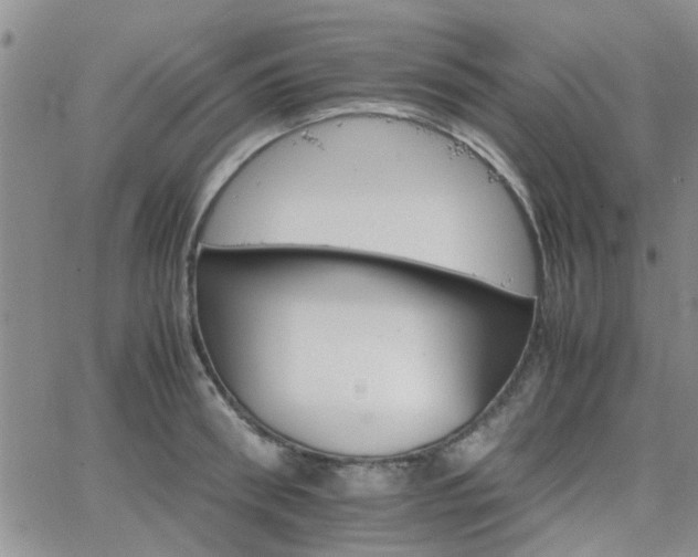 X0000066080898200603171027