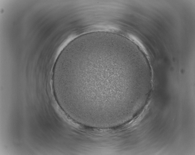 X0000066080899200603171027