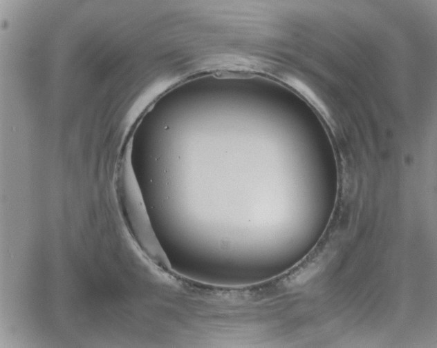 X0000066080901200603171027