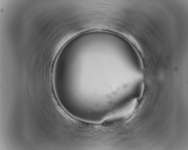 X0000066080903200603171027