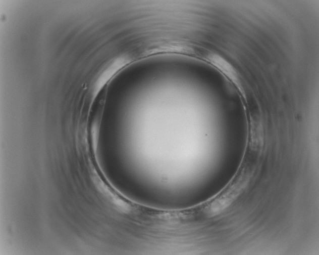 X0000066080906200603171027