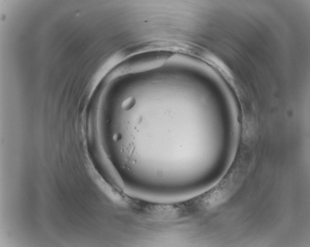 X0000066080907200603171027