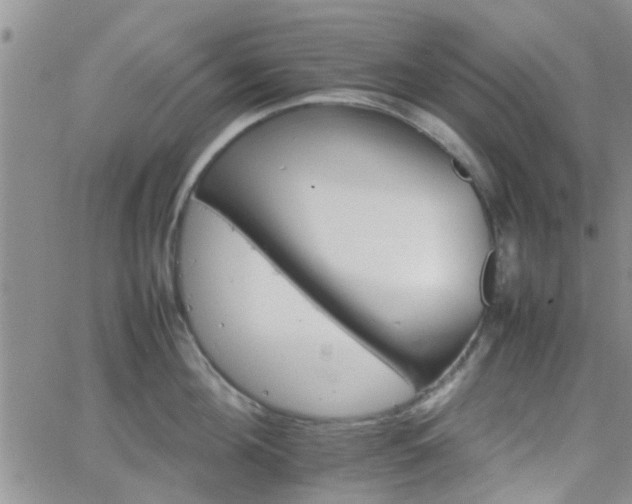 X0000066080908200603171027