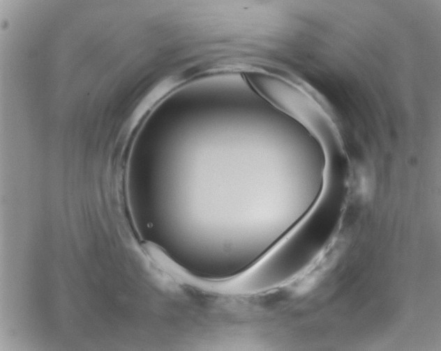 X0000066080909200603171027