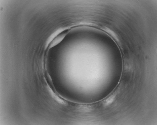 X0000066080910200603171027