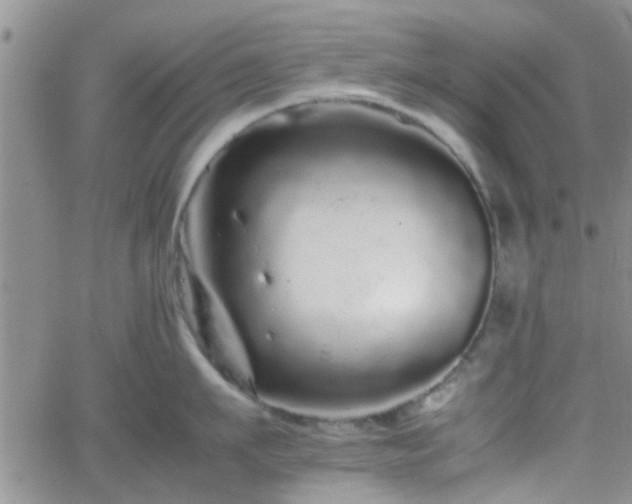 X0000066080911200603171027