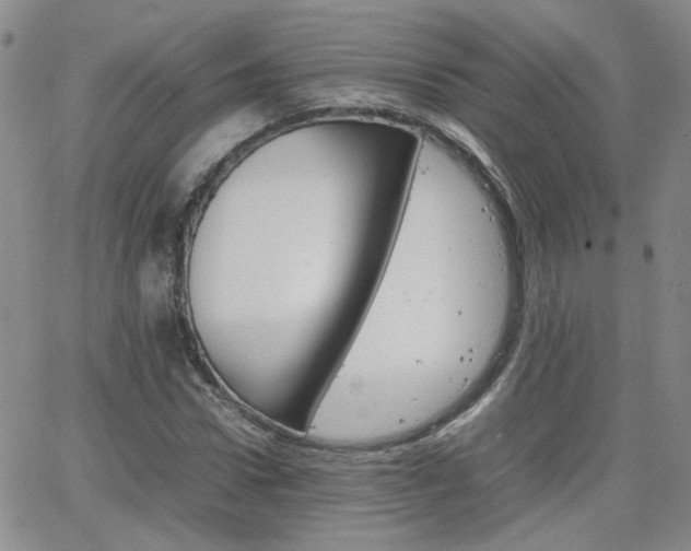 X0000066080922200603171026