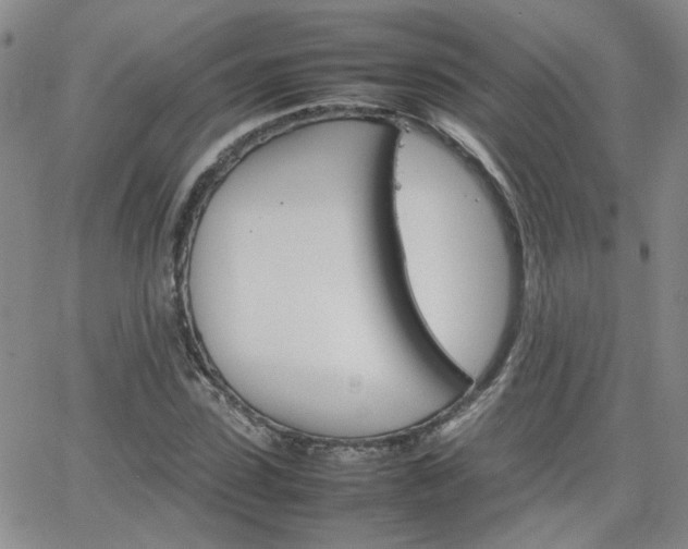 X0000066080923200603171026