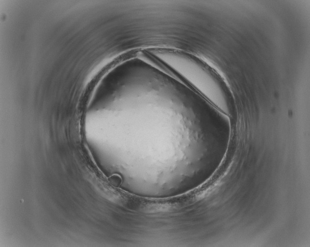 X0000066080925200603171026