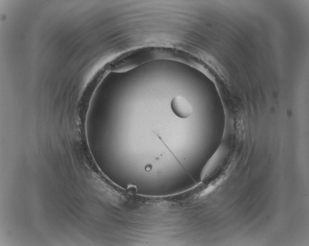 X0000066080926200603171027