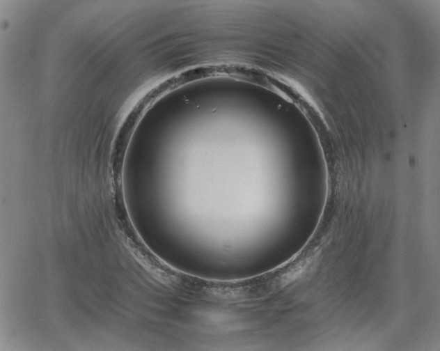 X0000066080927200603171027