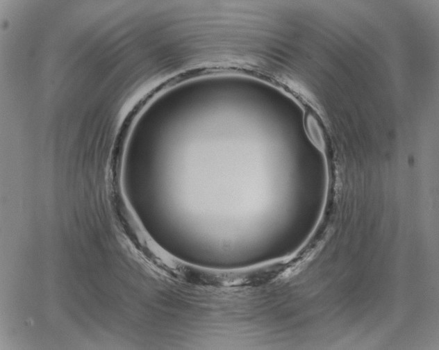 X0000066080928200603171027