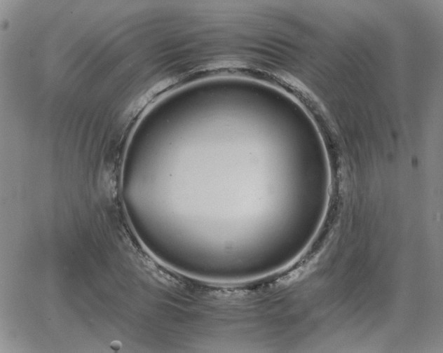 X0000066080929200603171027