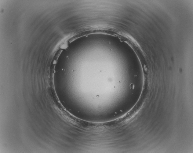 X0000066080930200603171027