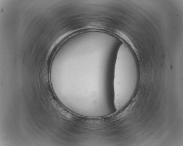 X0000066080931200603171027