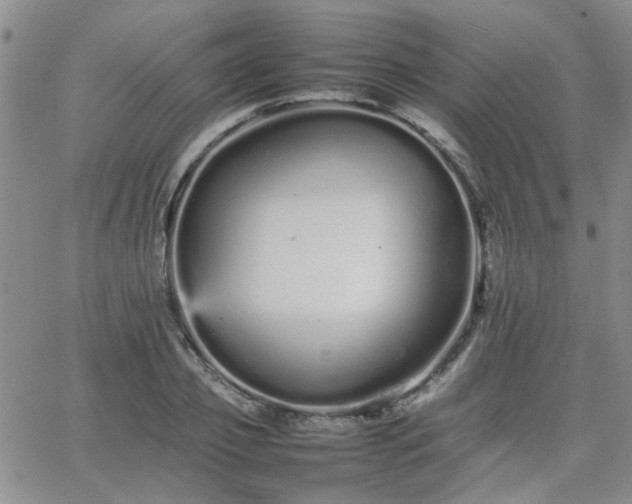 X0000066080933200603171027