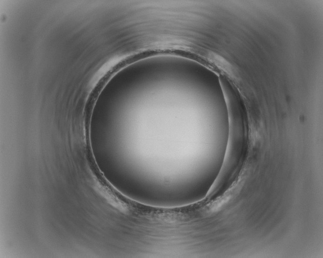 X0000066080934200603171027