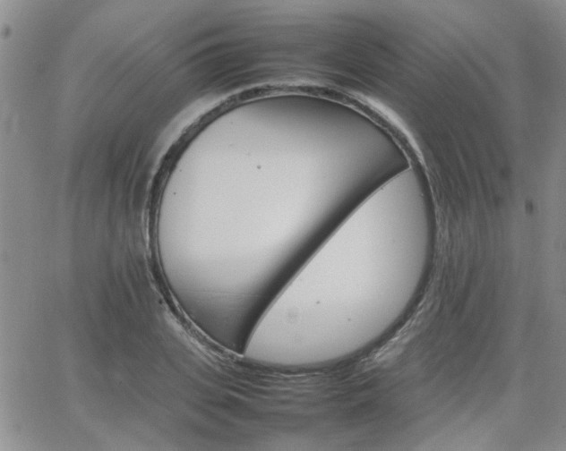 X0000066080935200603171027