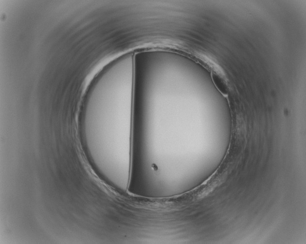 X0000066080936200603171027