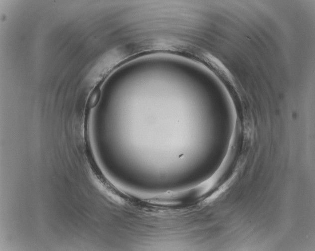 X0000066080938200603171027