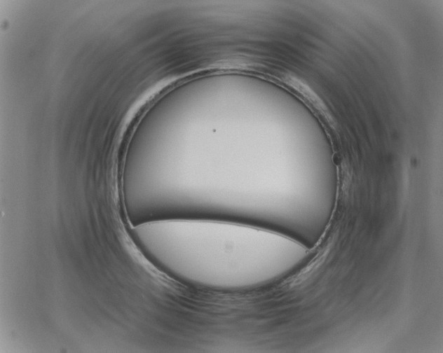 X0000066080939200603171027