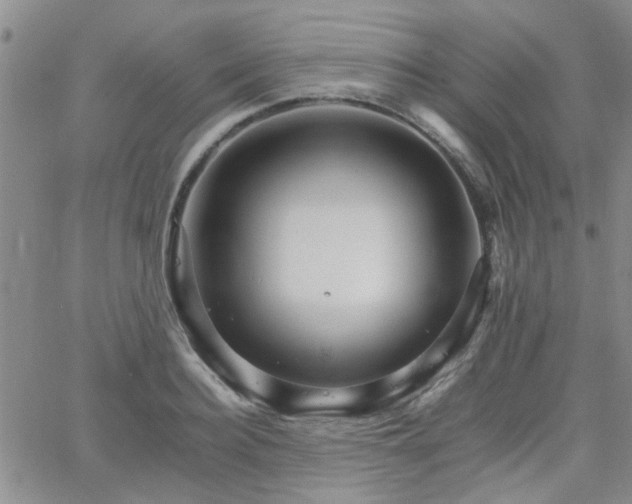 X0000066080940200603171027