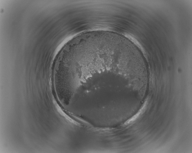 X0000066080941200603171027