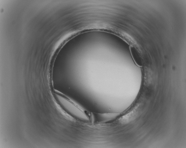 X0000066080942200603171027