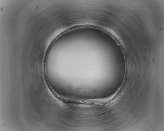 X0000066080943200603171027