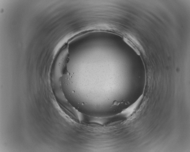 X0000066080944200603171027