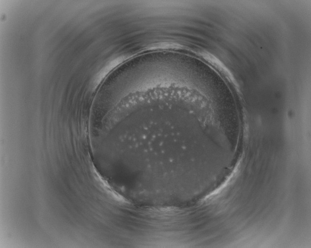 X0000066080945200603171027