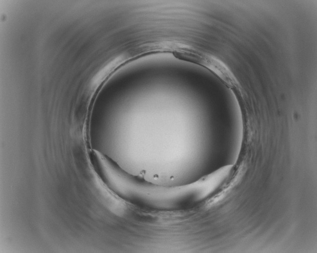 X0000066080946200603171027