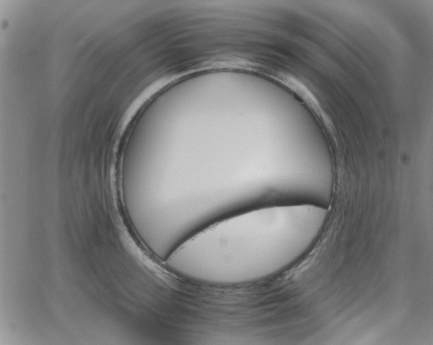 X0000066080947200603171027