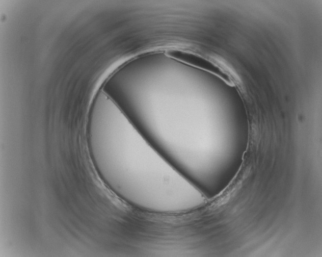 X0000066080948200603171027