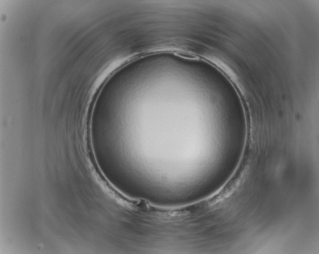 X0000066080949200603171027