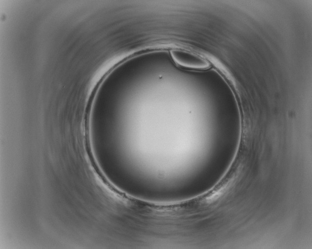 X0000066080951200603171027