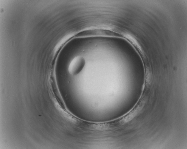 X0000066080952200603171027