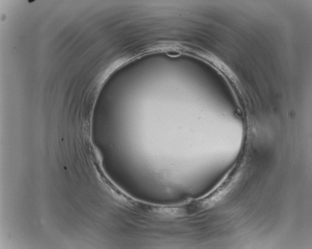 X0000066080953200603171027