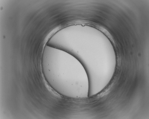 X0000066080954200603171027