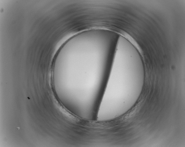 X0000066080955200603171027