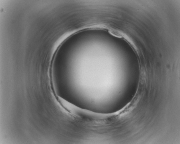 X0000066080959200603171027